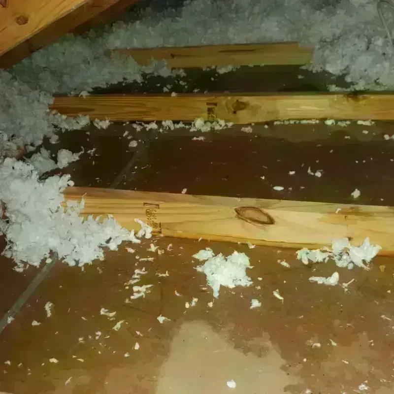 Attic Water Damage in Burbank, CA