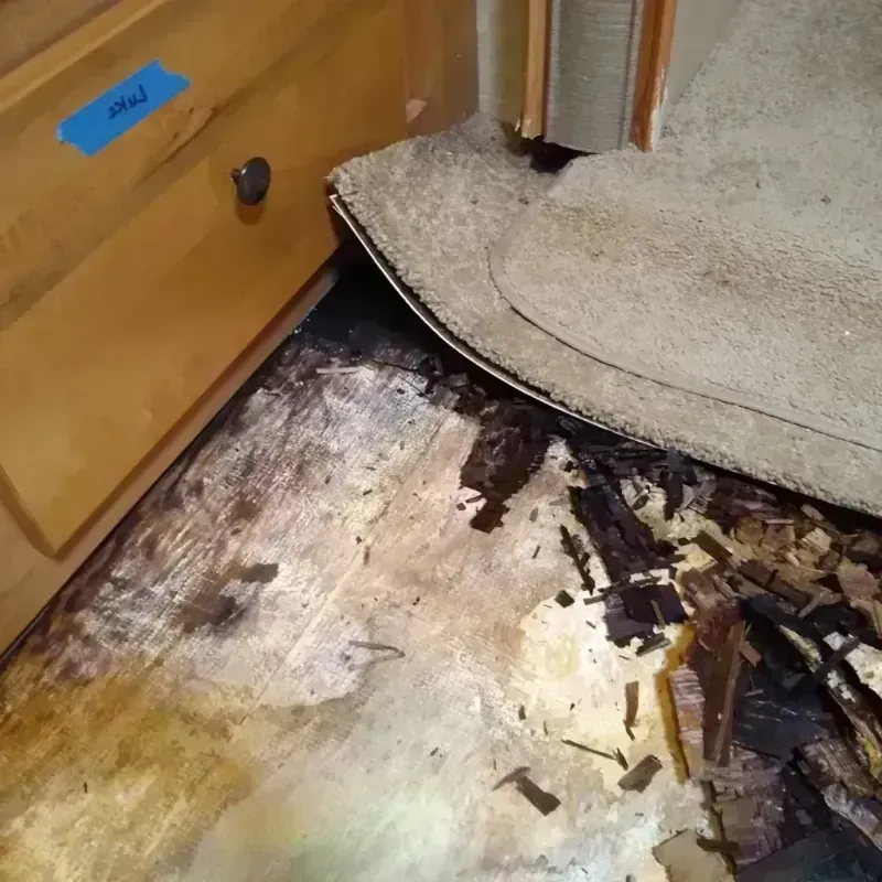 Wood Floor Water Damage in Burbank, CA